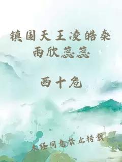 镇国天王凌皓秦雨欣蕊蕊