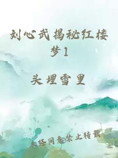 刘心武揭秘红楼梦1