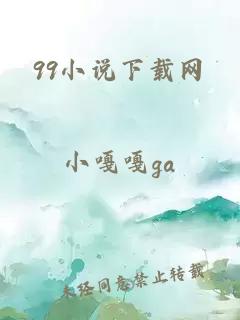 99小说下载网