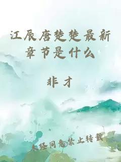 江辰唐楚楚最新章节是什么