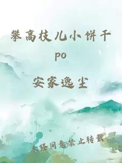 攀高枝儿小饼干po