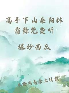 高手下山秦阳林霜舞免费听