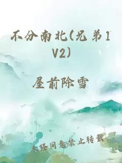 不分南北(兄弟1V2)