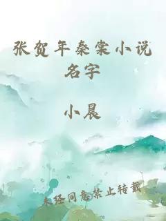 张贺年秦棠小说名字