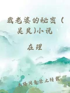 我老婆的秘密 (吴昊)小说