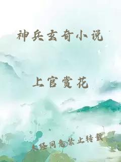 神兵玄奇小说