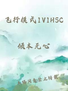 飞行模式1V1HSC