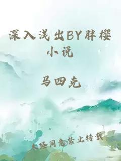 深入浅出BY胖樱小说