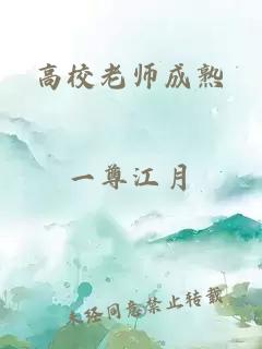 高校老师成熟