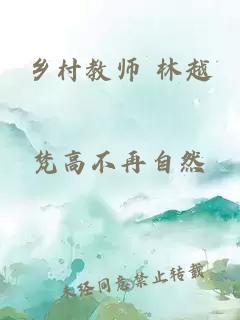 乡村教师 林越