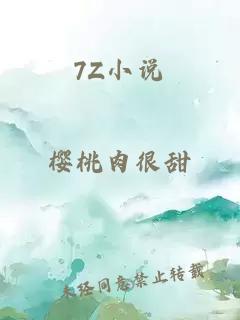 7Z小说