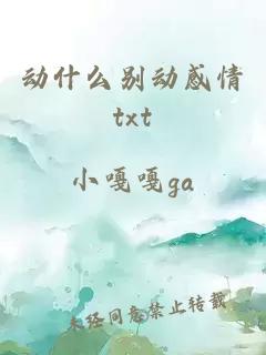 动什么别动感情txt