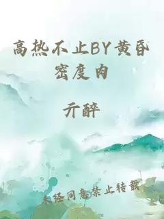 高热不止BY黄昏密度肉