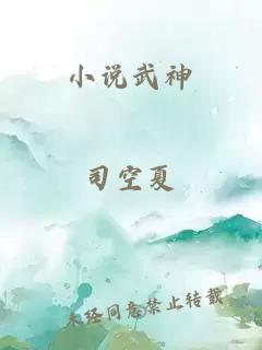 小说武神