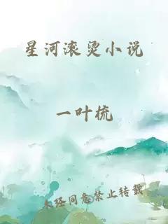 星河滚烫小说