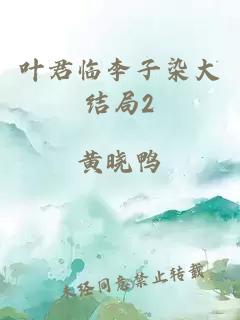 叶君临李子染大结局2