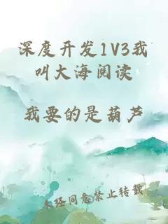 深度开发1V3我叫大海阅读