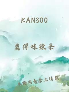 KAN300