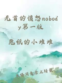 元首的愤怒nobody第一版