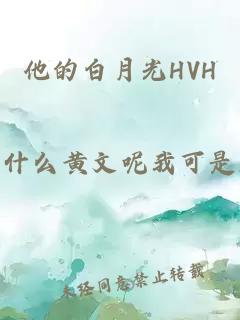 他的白月光HVH