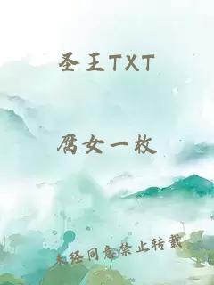 圣王TXT