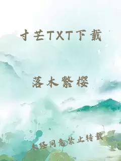 寸芒TXT下载