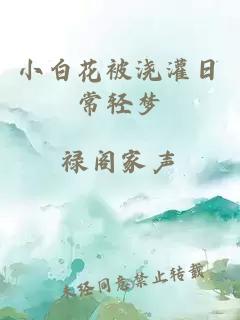 小白花被浇灌日常轻梦