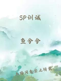 SP训诫