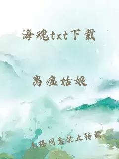 海魂txt下载