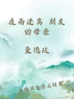 夜雨迷离 朋友的母亲