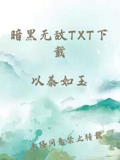 暗黑无敌TXT下载