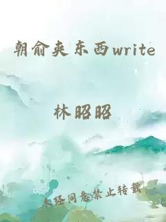 朝俞夹东西write