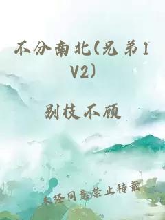 不分南北(兄弟1V2)