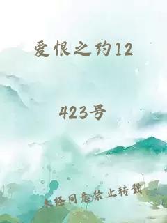 爱恨之约12