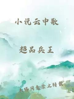 小说云中歌