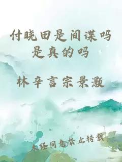 付晓田是间谍吗是真的吗