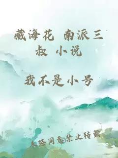 藏海花 南派三叔 小说