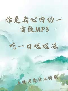 你是我心内的一首歌MP3