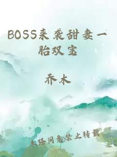 BOSS来袭甜妻一胎双宝