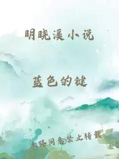 明晓溪小说