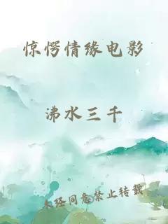 惊愕情缘电影