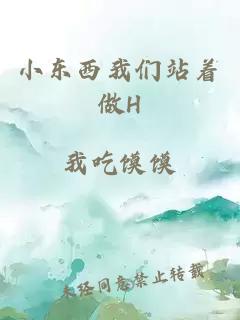 小东西我们站着做H