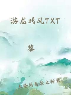 游龙戏凤TXT