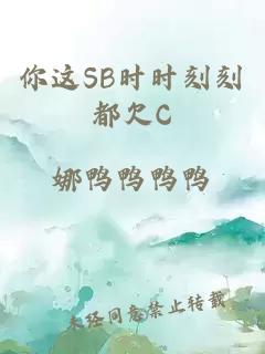 你这SB时时刻刻都欠C