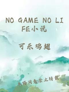 NO GAME NO LIFE小说