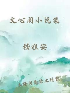 文心阁小说集