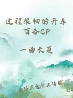 过程很细的开车百合CP