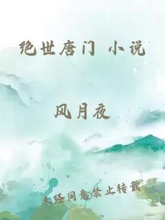 绝世唐门 小说