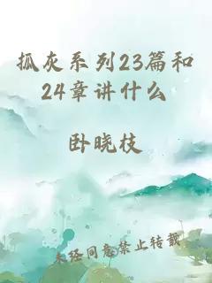 抓灰系列23篇和24章讲什么