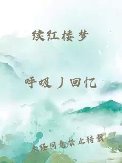 续红楼梦